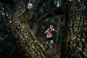 BIB: 
                            <button type="button" onclick="openModal(25681861)" class="btn btn-primary btn-sm float-right btn-popup" data-toggle="modal" data-target=".modal-high-quality">
                        <i class="fas fa-shopping-cart"></i> Add to Cart
                    </button>
                                            <button type="button" onclick="isThisMe(25681861, true)" class="btn btn-success btn-sm float-right btn-popup btn-isme hidden" data-toggle="tooltip" data-placement="bottom" title="นี่คือรูปของคุณใช่ไหม คลิกที่นี่เพื่อเอาเข้าอัลบั้ม">
                        <i class="fas fa-plus"></i> Add to album
                    </button>
                    <button type="button" onclick="isThisMe(25681861, false)" class="btn btn-warning btn-sm float-right btn-popup btn-isnotme hidden">
                        <i class="fas fa-ban"></i> Remove from album
                    </button>